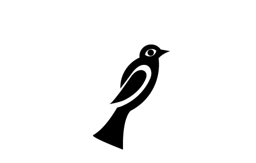 ap_icon